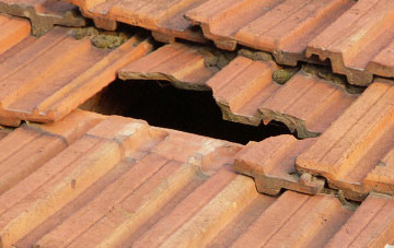 roof repair Llwyn